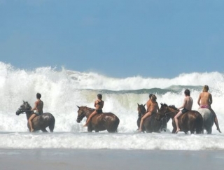  Percorso a due velocità: miglioramento al mattino, foresta sulla spiaggia all'aperto nel pomeriggio! 